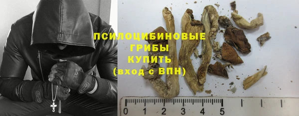 стафф Алексин