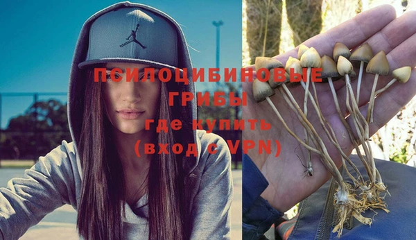 спайс Алзамай