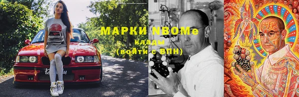 стафф Алексин