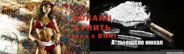 спайс Алзамай