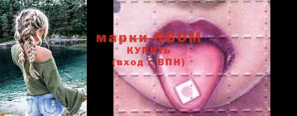 стафф Алексин