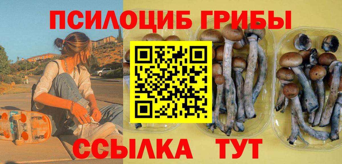 Галлюциногенные грибы ЛСД Урай